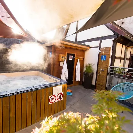 酒店 Au Cheval Blanc 3*