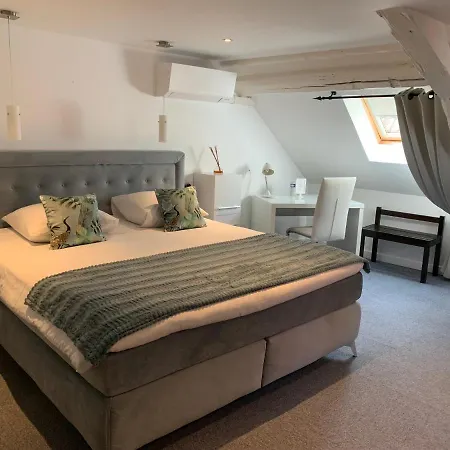 Au Cheval Blanc Hotel 3*