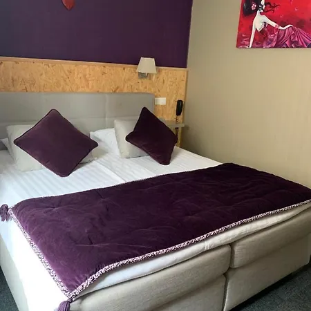 Hotel Au Cheval Blanc 3*