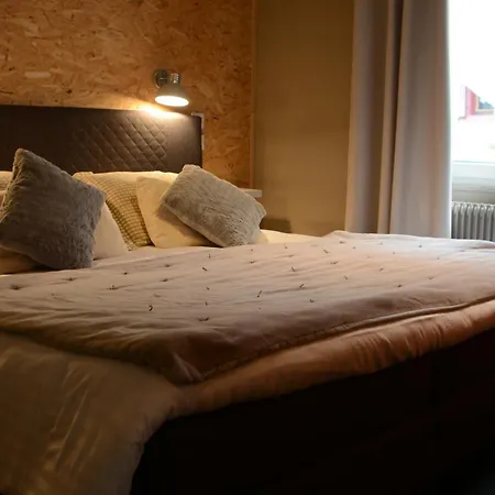 Hotel Au Cheval Blanc