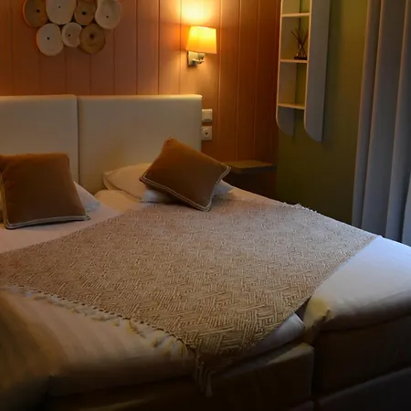 Hotell Au Cheval Blanc - Climatisees Ribeauvillé