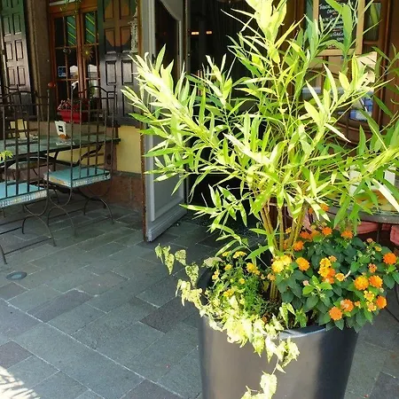 Au Cheval Blanc Ribeauvillé