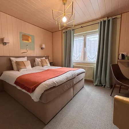 Au Cheval Blanc - Climatisees Hotel 3*