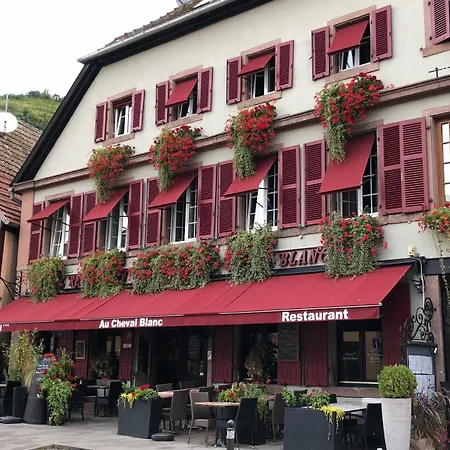 Au Cheval Blanc - Climatisees Hotel 3*