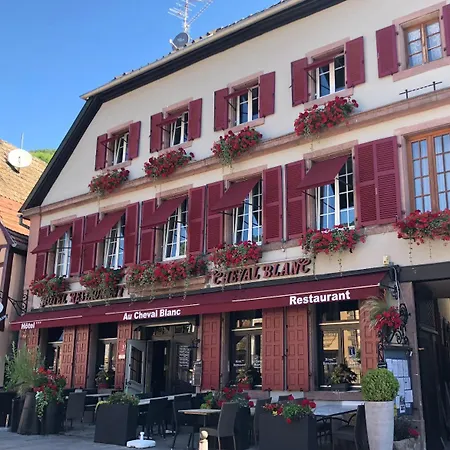 Au Cheval Blanc - Climatisees 3*