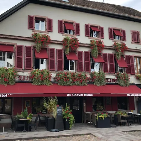 Au Cheval Blanc - Climatisees Hotel Ribeauvillé