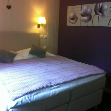 Hotel Au Cheval Blanc 3*