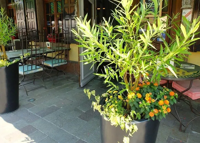 Au Cheval Blanc Ribeauville (Haut-Rhin)