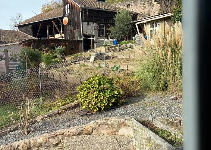 Au Cheval Blanc Hotel Ribeauville (Haut-Rhin)