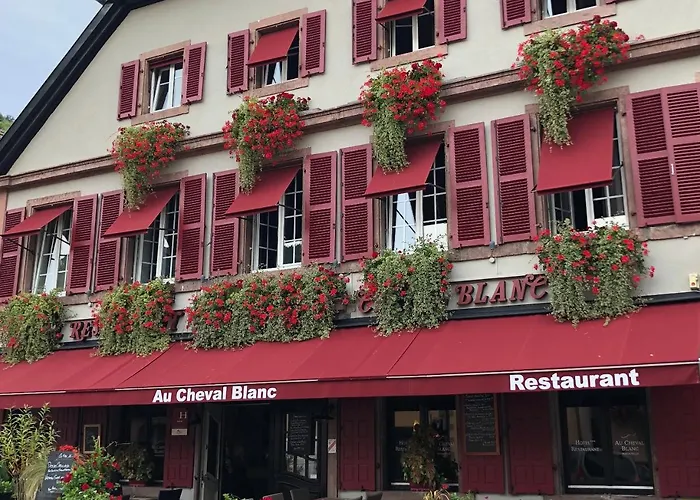 Au Cheval Blanc Hotel Ribeauville (Haut-Rhin)