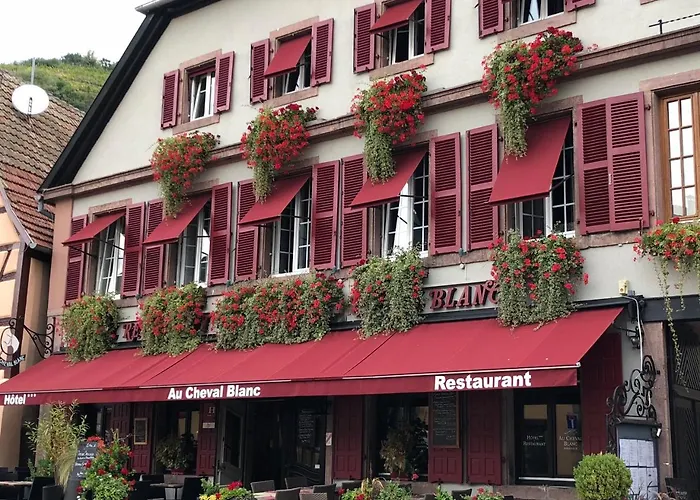 Au Cheval Blanc Hotel 3*